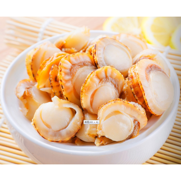 Premium Cooked Seafood Scallop Without Shell